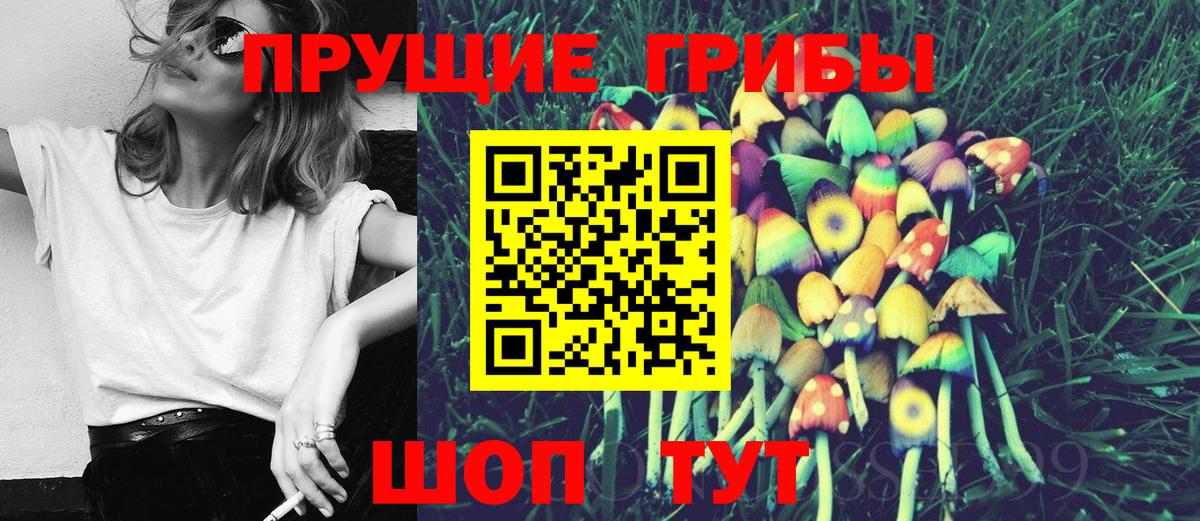 Галлюциногенные грибы MAGIC MUSHROOMS Ярославль
