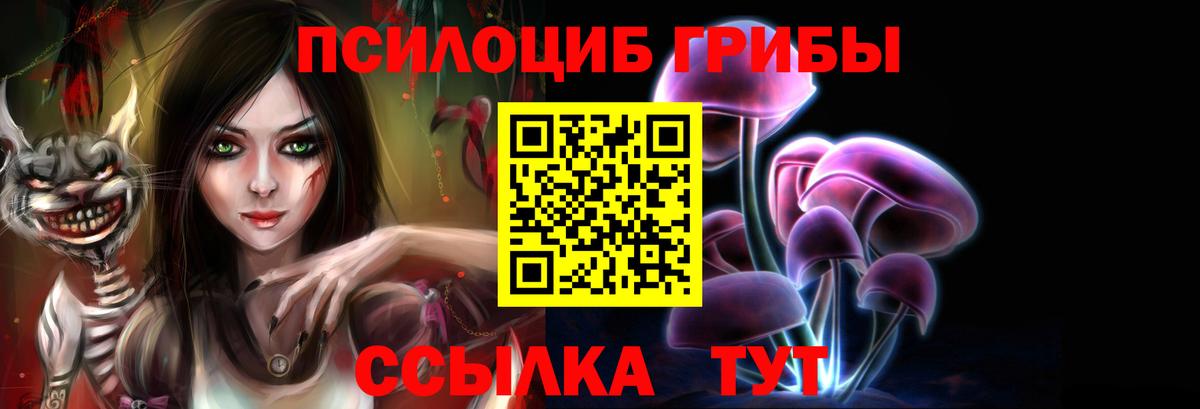 Псилоцибиновые грибы GOLDEN TEACHER  продажа наркотиков  Ярославль  Вход с VPN 